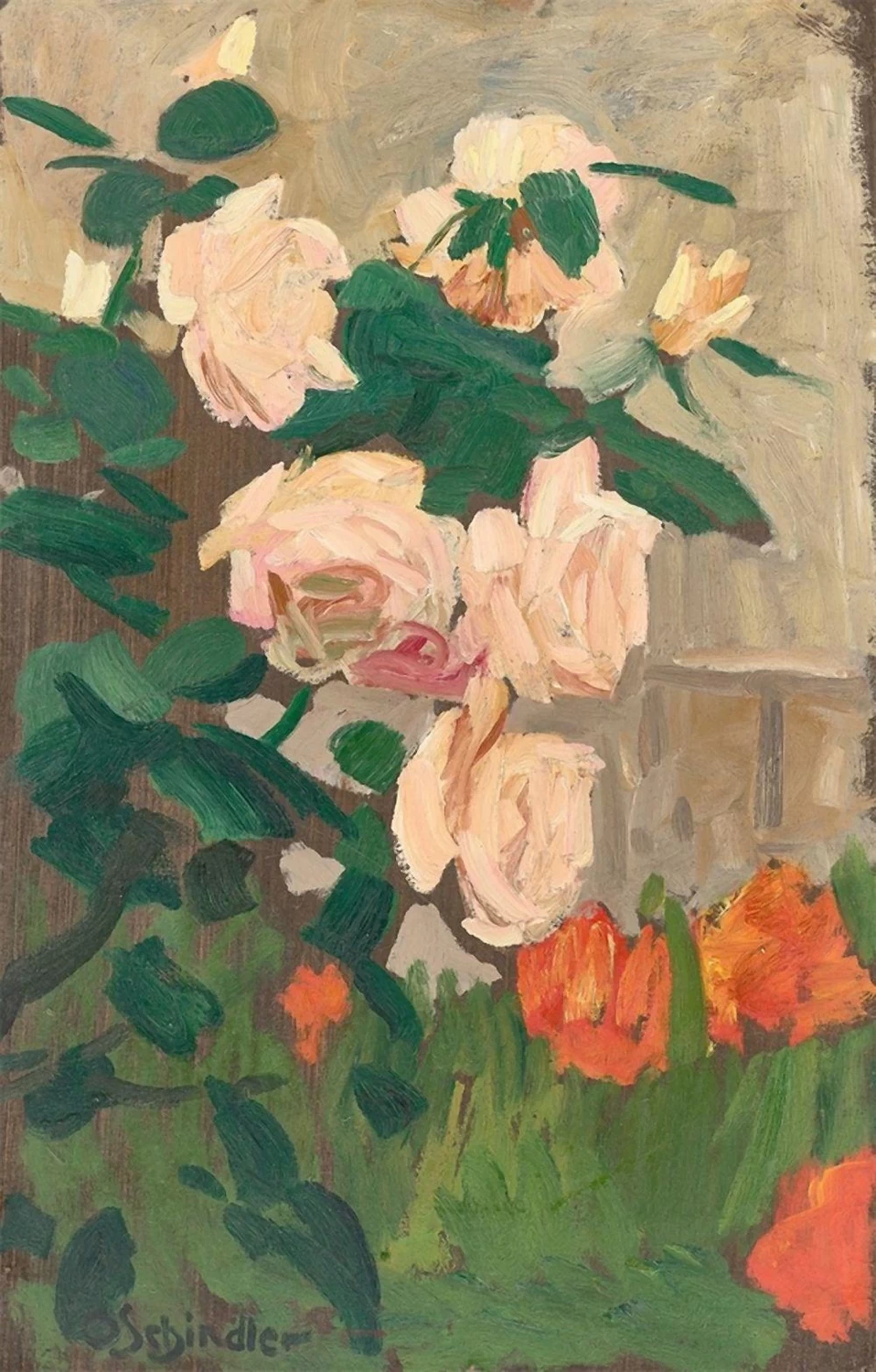 Rose in fiore